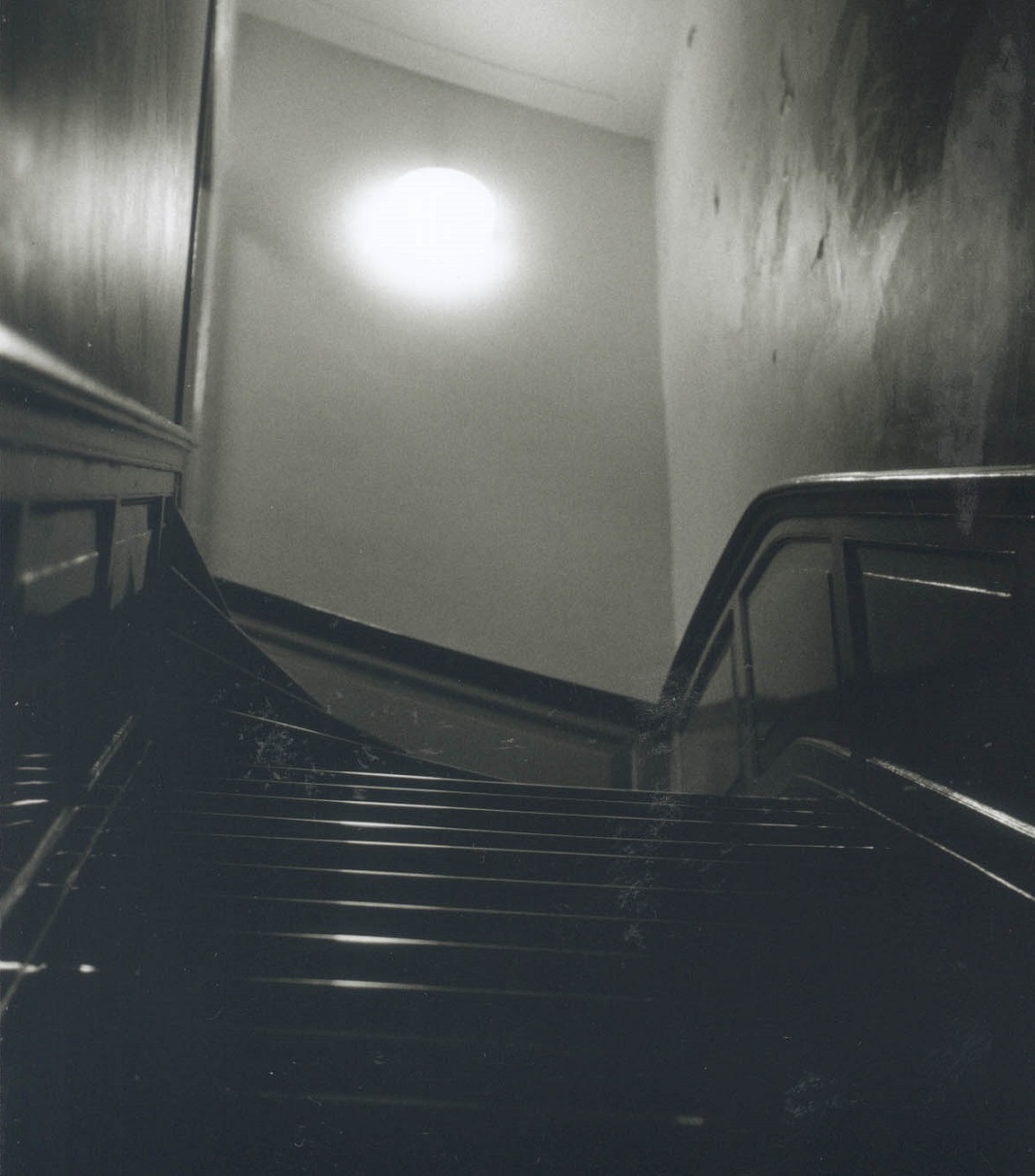 Stairway at Utrecht University Library (photo by Andrea Hajek)